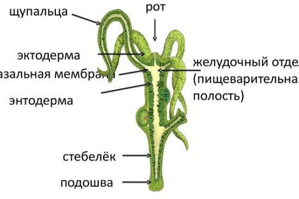 Только через тор кракен